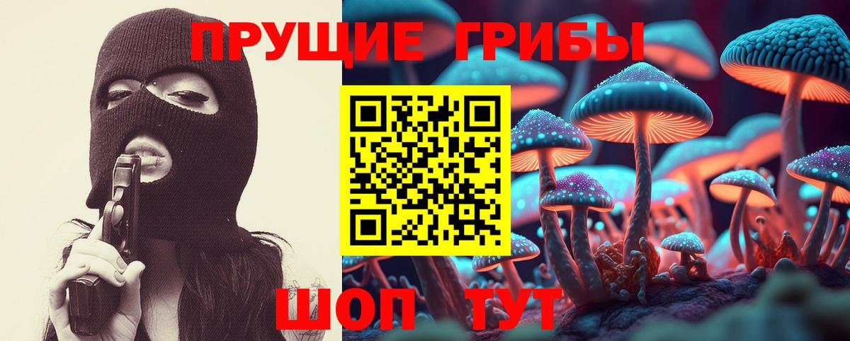 Галлюциногенные грибы GOLDEN TEACHER  Вход с VPN  Мыски  Галлюциногенные грибы MAGIC MUSHROOMS 