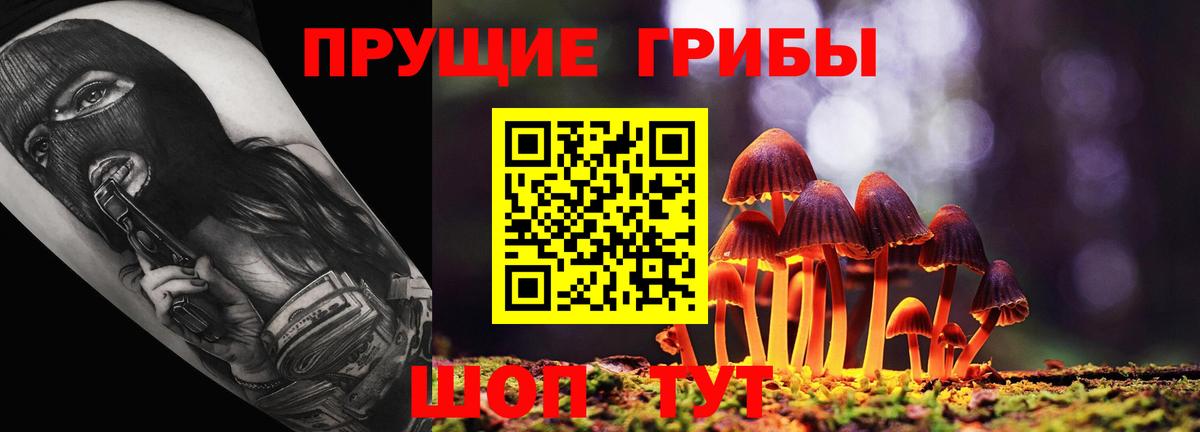 Галлюциногенные грибы Psilocybe Мыски