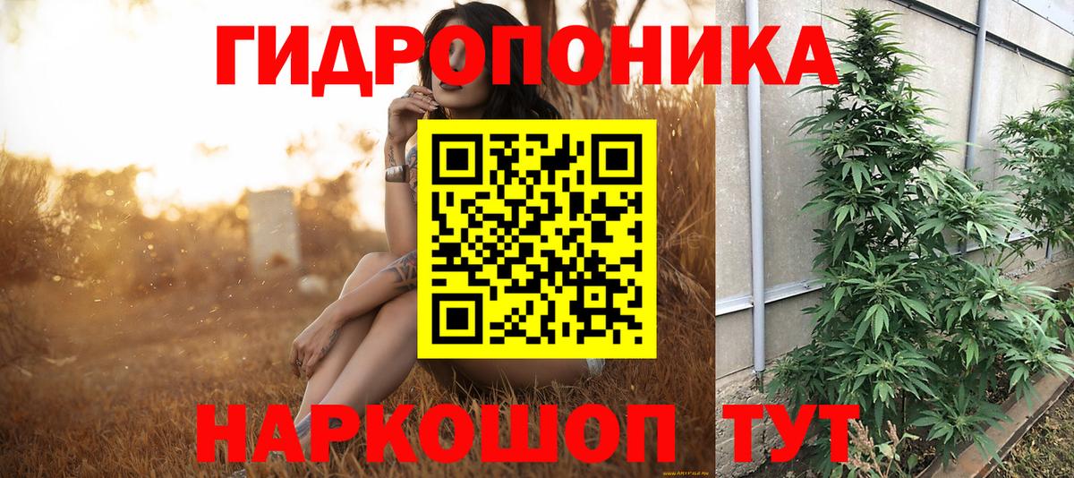 Марихуана гибрид Мыски