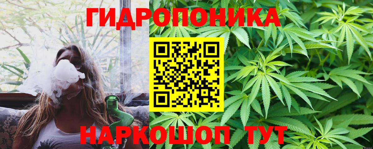 Конопля White Widow  Бошки Шишки Ganja  Каннабис ГИДРОПОН  МАРИХУАНА сатива  Мыски  Вход с VPN 
